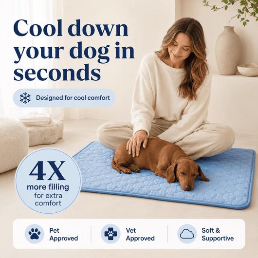 The Cool Spot (Cooling Mat)