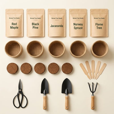 Gentle Bloom Bonsai Starter Kit