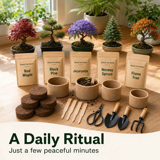 Gentle Bloom Bonsai Starter Kit