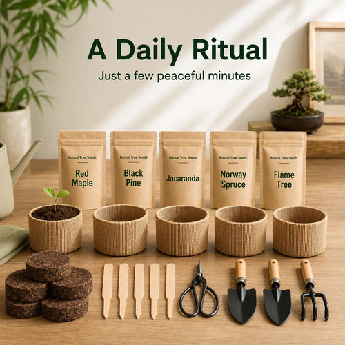 Gentle Bloom Bonsai Starter Kit