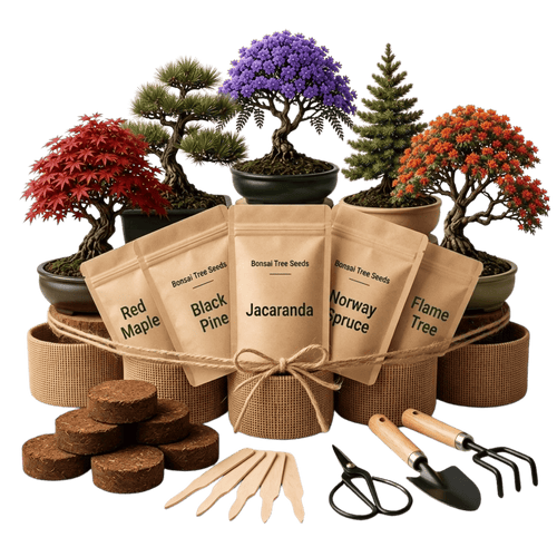 Gentle Bloom Bonsai Starter Kit