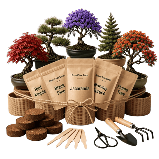Gentle Bloom Bonsai Starter Kit