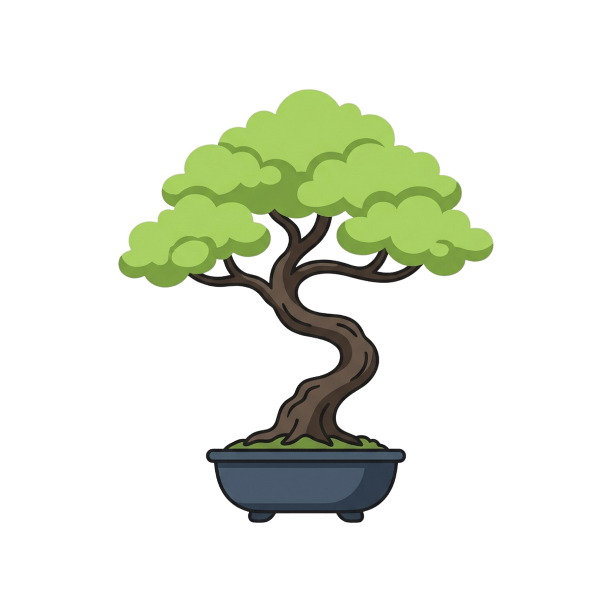 Gentle Bloom Bonsai
